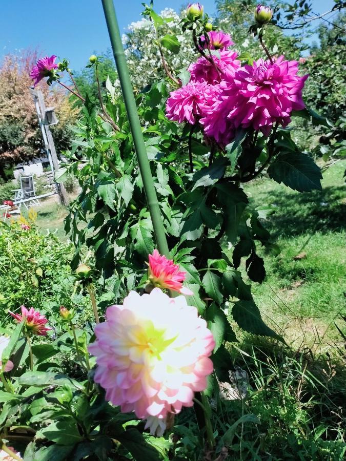 La Cadournaise Bed and Breakfast Saint-Seurin-de-Cadourne Buitenkant foto